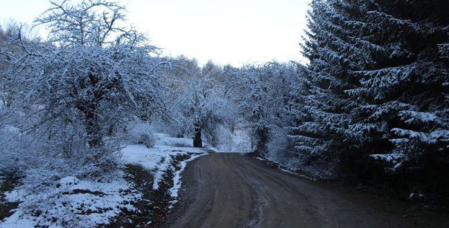 مازندران ، همیشه زیباست ...