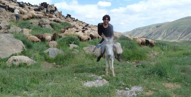 روستای خمس