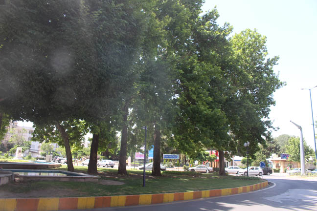 میدان عارف