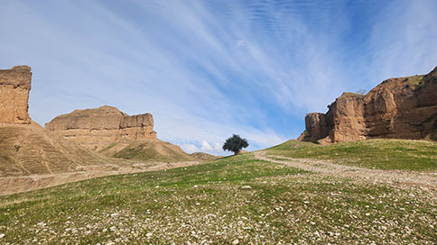 خوزستان