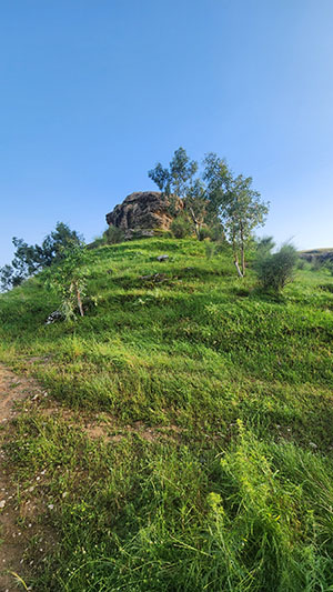 خوزستان