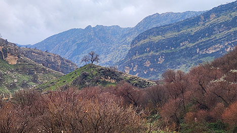 خوزستان