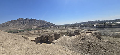 تهران