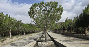 البرز زیبا