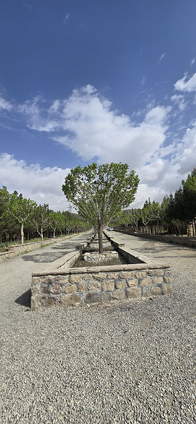 البرز