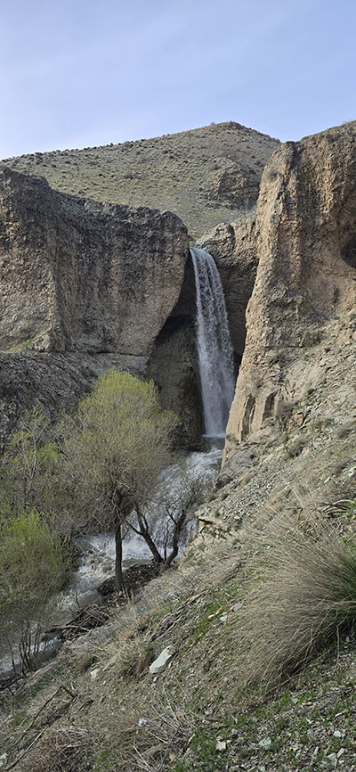 البرز