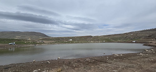 دریابک