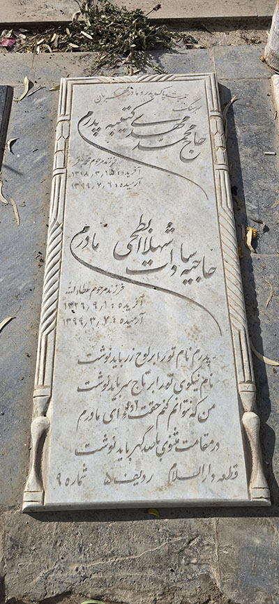 استان پارس