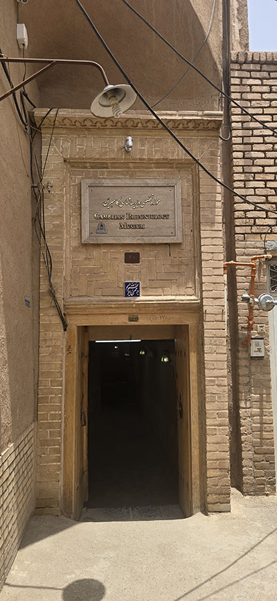 استان یزد