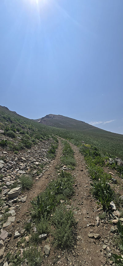 مازندران