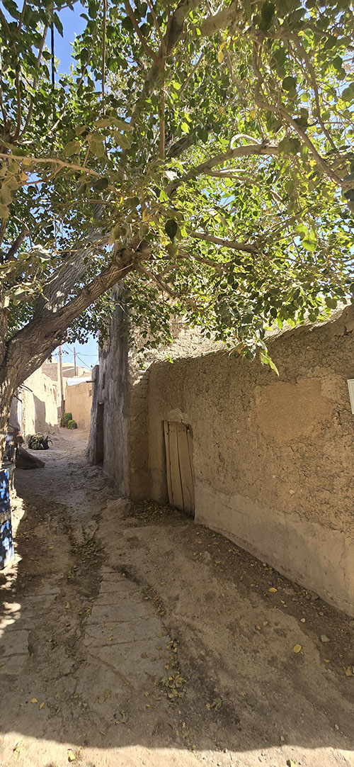 سپاهان