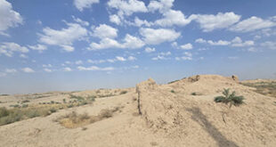 روستای شفیع آباد