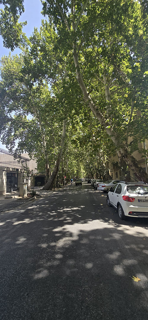 سپاهان