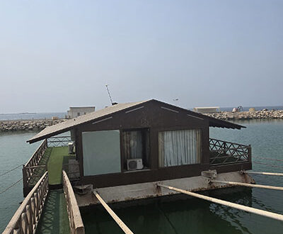 بوشهر در مرداد